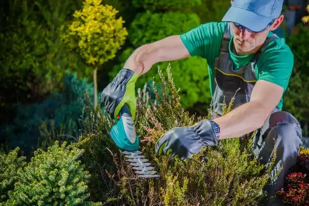 landscaping services Bonne Terre
